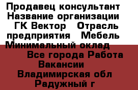Продавец-консультант › Название организации ­ ГК Вектор › Отрасль предприятия ­ Мебель › Минимальный оклад ­ 15 000 - Все города Работа » Вакансии   . Владимирская обл.,Радужный г.